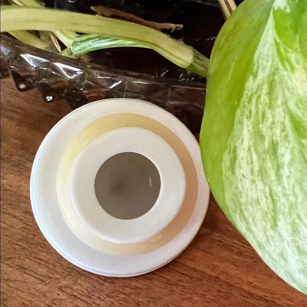 Lenox porcelain spice